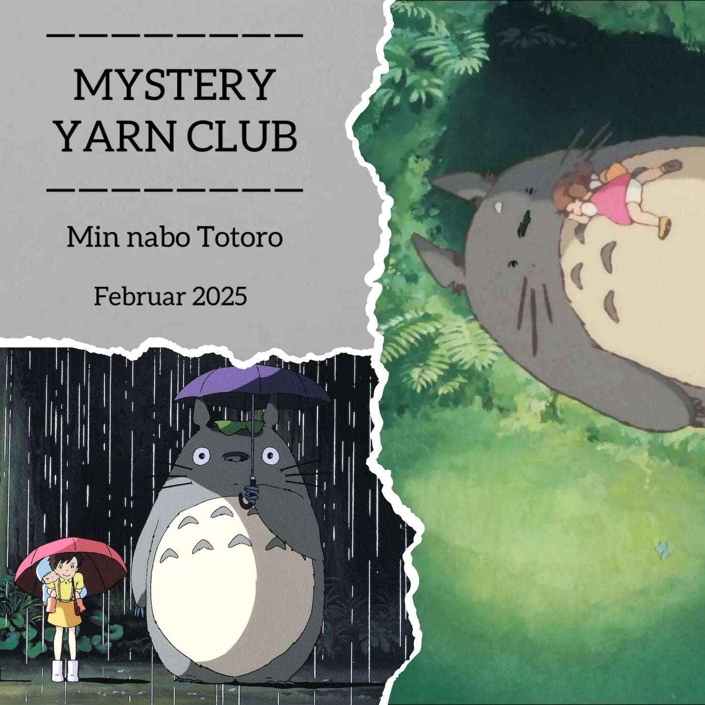 Sokke set | Min nabo Totoro