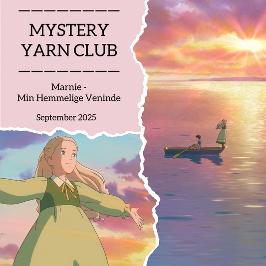 Mystery Yarn Club "September" Sock set