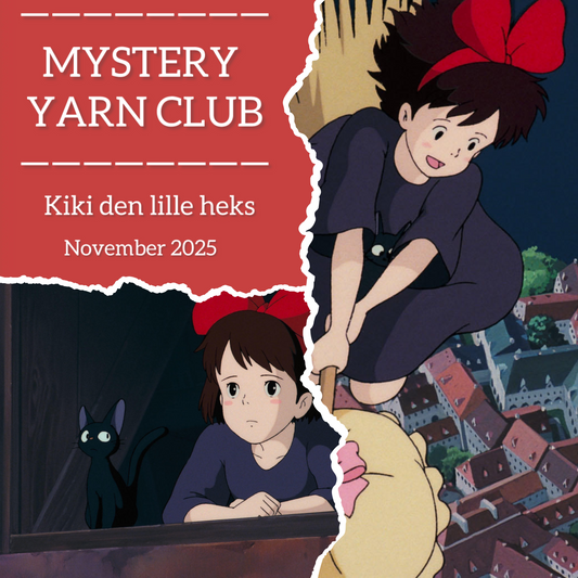 Mystery Yarn Club "November" Sock set