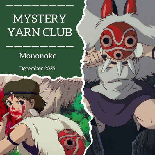 Mystery Yarn Club "December" Sock set